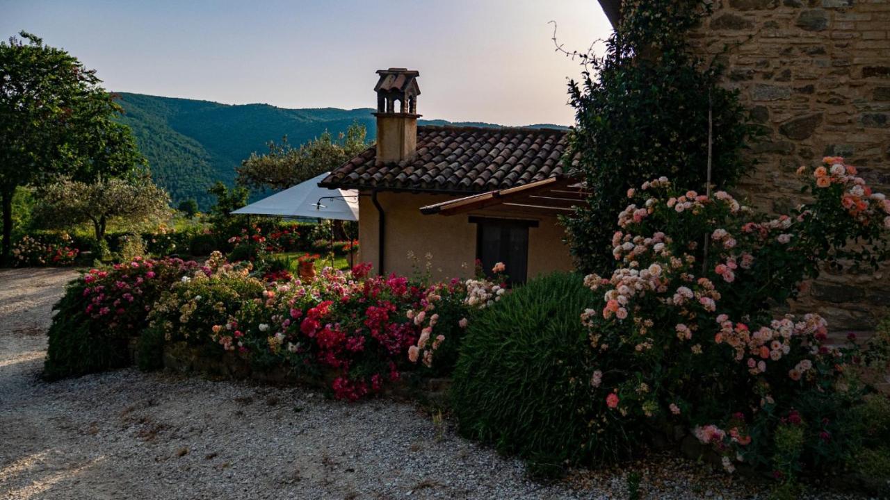 Cannara Il Casale Di Fiore מראה חיצוני תמונה