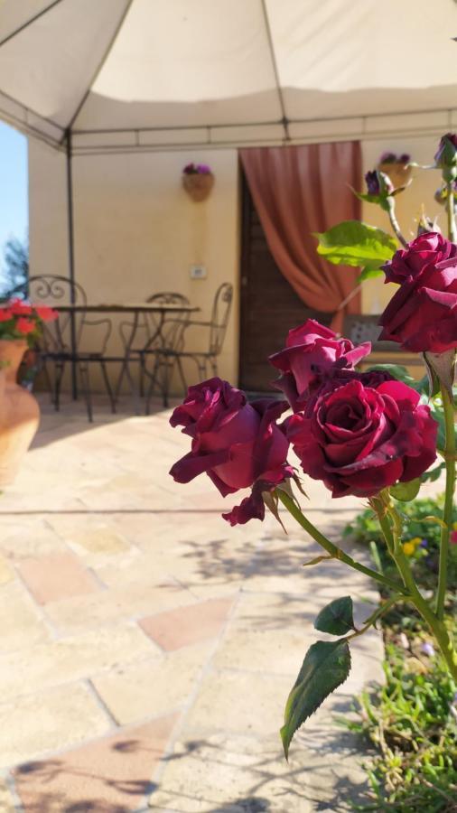 Cannara Il Casale Di Fiore מראה חיצוני תמונה