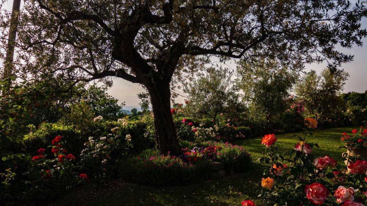 Cannara Il Casale Di Fiore מראה חיצוני תמונה