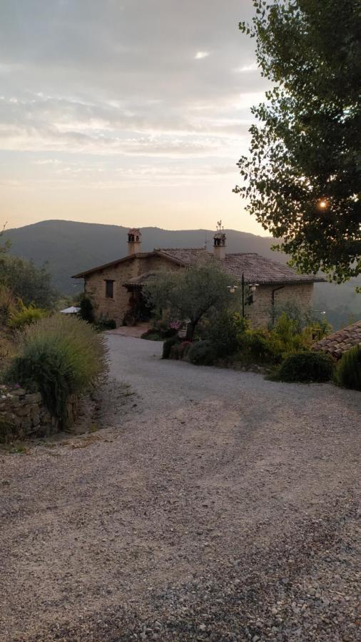 Cannara Il Casale Di Fiore מראה חיצוני תמונה