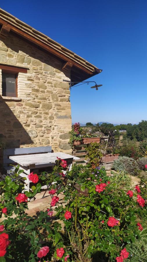 Cannara Il Casale Di Fiore מראה חיצוני תמונה