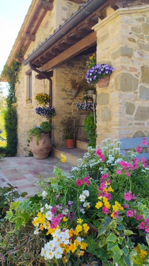 Cannara Il Casale Di Fiore מראה חיצוני תמונה