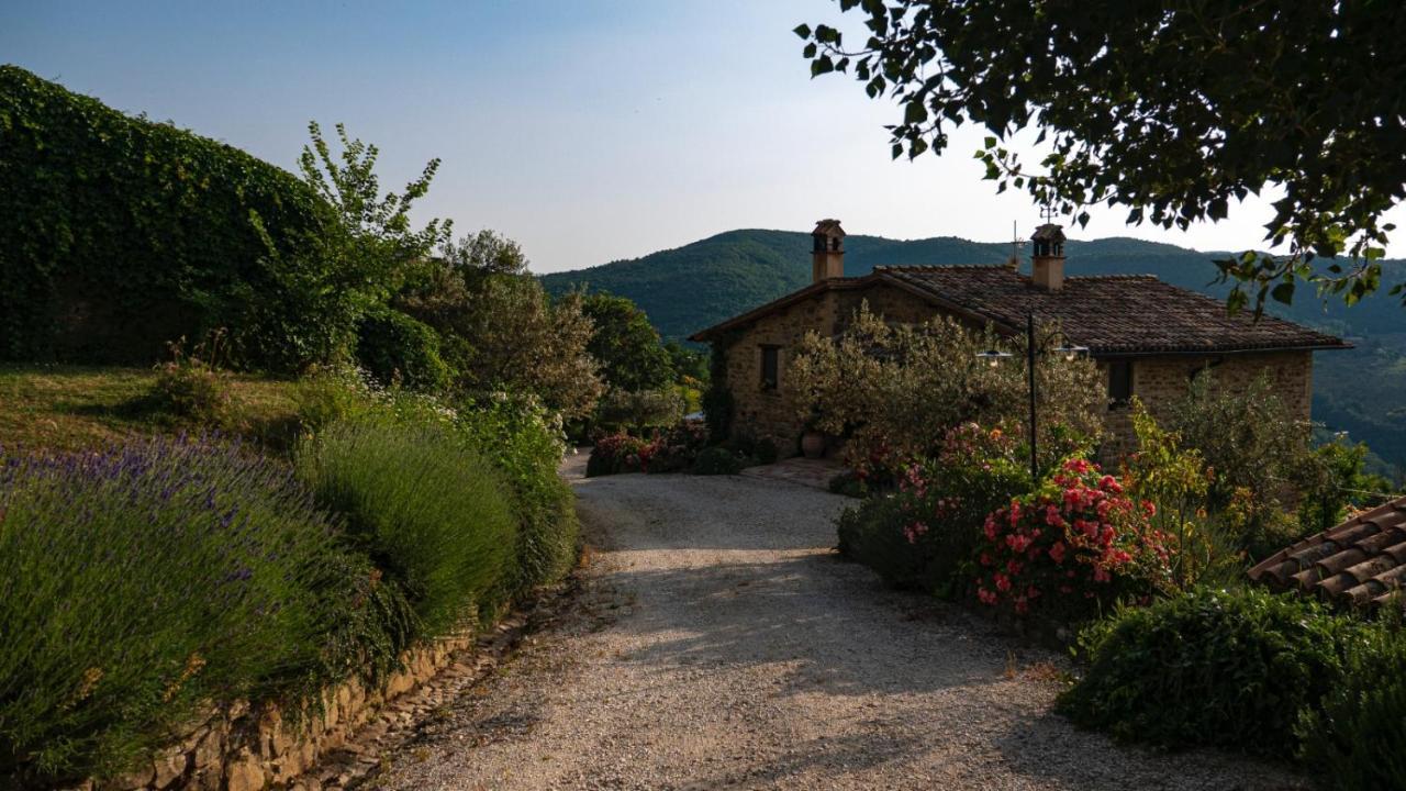Cannara Il Casale Di Fiore מראה חיצוני תמונה