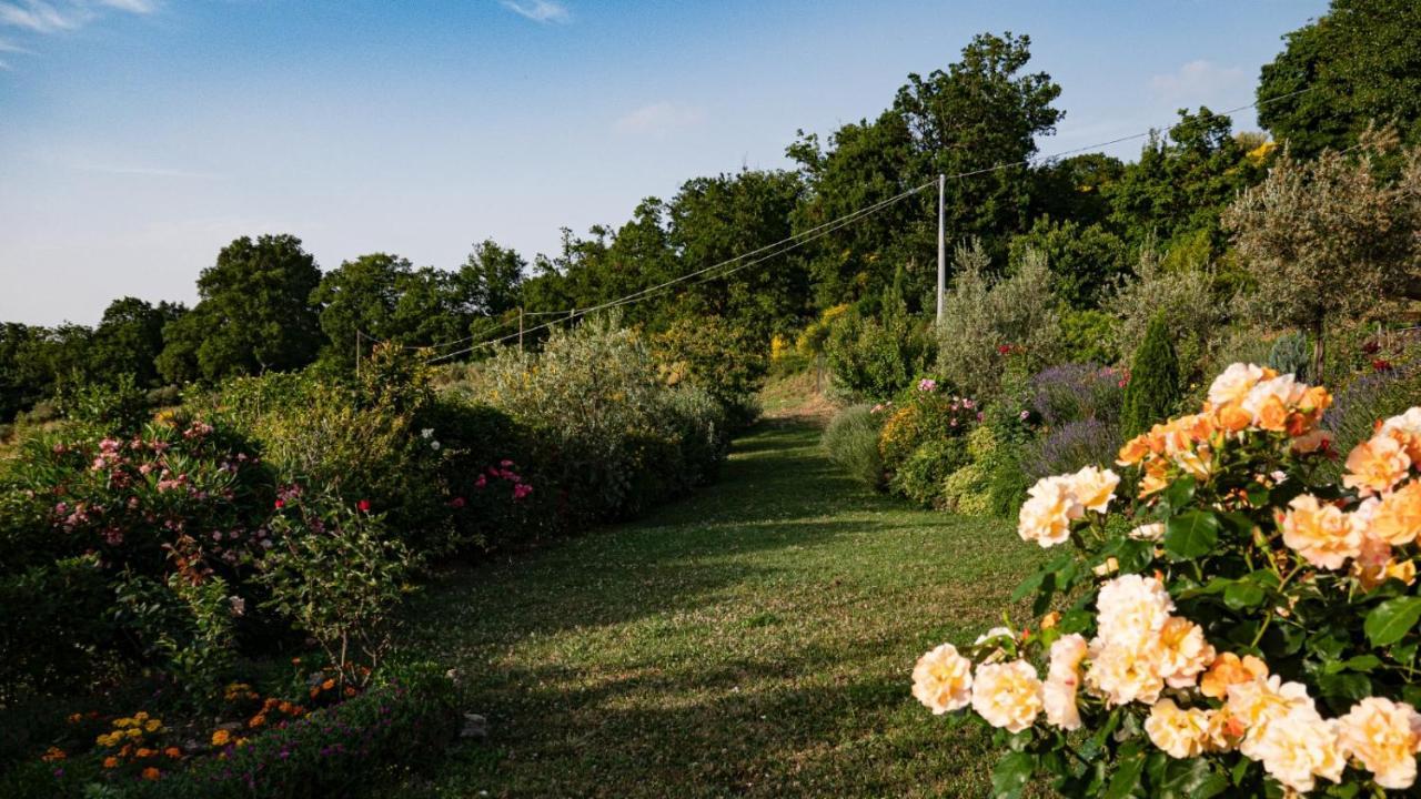Cannara Il Casale Di Fiore מראה חיצוני תמונה