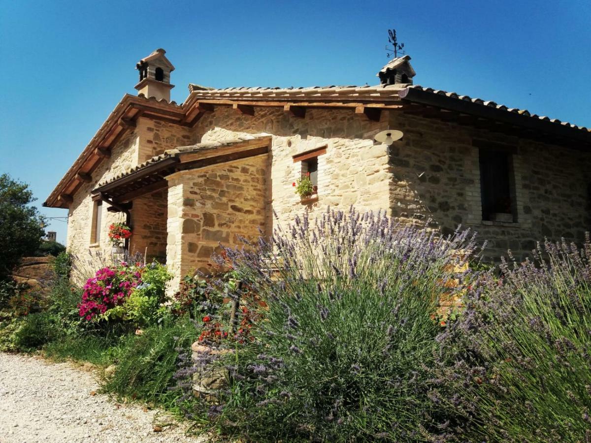 Cannara Il Casale Di Fiore מראה חיצוני תמונה