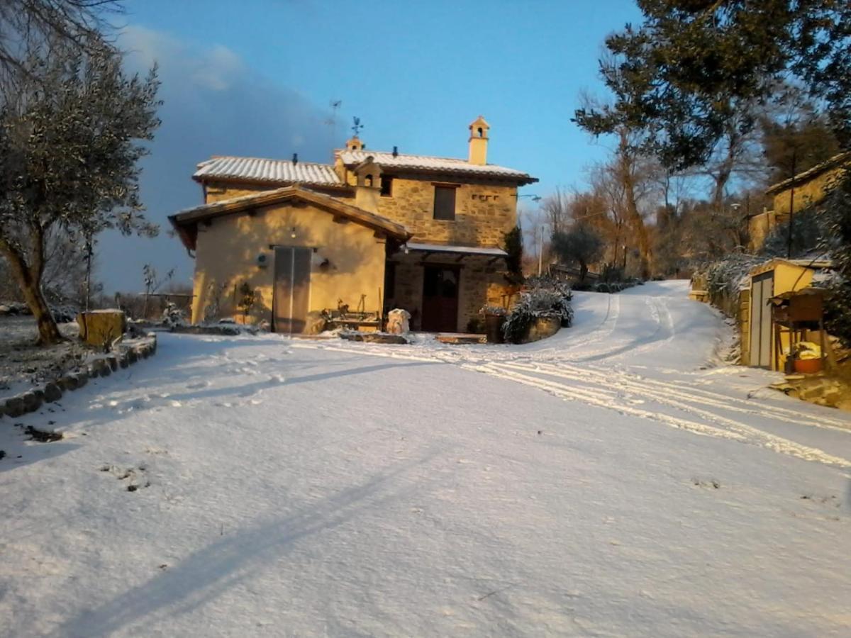 Cannara Il Casale Di Fiore מראה חיצוני תמונה